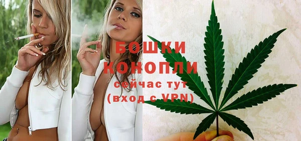 гашик Волосово
