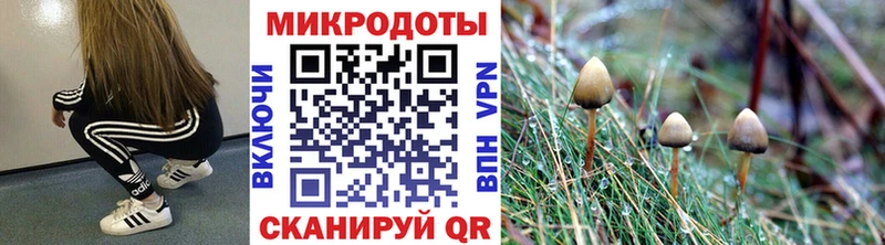 Купить закладки  Бабушкин  Псилоцибиновые грибы мицелий 